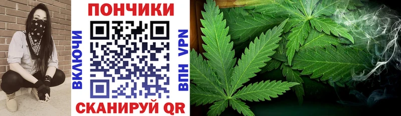 наркошоп  Сим  Канабис индика 